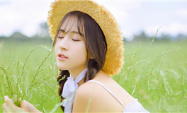 小乖麻2024年11月星座运势