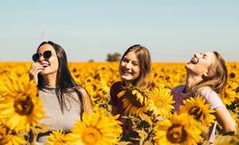 年终巨献：揭晓最后一个月的【快乐盛事】！