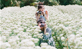 年底前稳住，12月底这几个星座有望崛起