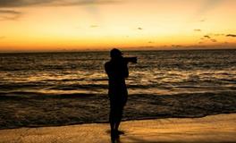 外有风度，内有涵养的优质股生肖！