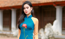 柒爸的下周星象提醒（12.30-1.5）