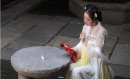 MT曼陀罗华一周星象运势（12.23-12.29）