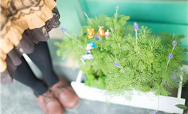 易鑫一周黄道吉凶日（1.27-2.2）