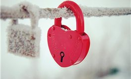 星座女神处女座2025年2月运势