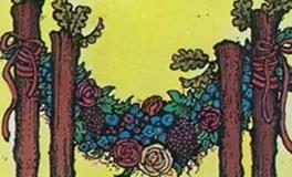 爱莎公主双鱼座一周塔罗运势（1.27-2.2）