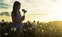 水玲师傅：今日五行能量/五行运势2025年2月21日