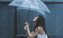 易鑫今日生肖运势2025年2月24日