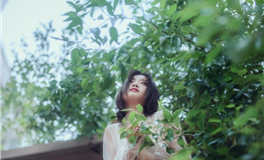 蛇年新春：事业腾飞，五大星座迎来辉煌时刻！