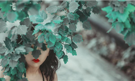 YAO叔星座2025年2月28日运势：新月降临，需放下幻想