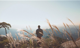 艾菲尔十二星座2025年2月运势