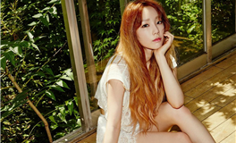 李云天每日生肖运势2025年2月19日