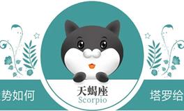 蓝蓝占星 天蝎座一周感情运势（2.15-2.21)