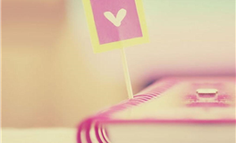 张鑫龙每日通盛+生肖运势 2025年2月27日