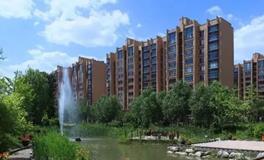 探索大易风水：青龙白虎的风水智慧，提升你的家居环境！