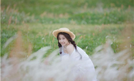 猫咪占星：巨蟹座2025年4月运势解析