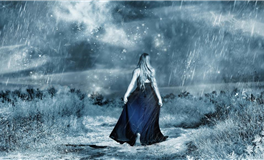 苏民峰:属虎人2025年3月运势/农历二月/己卯月(3.5-4.3)