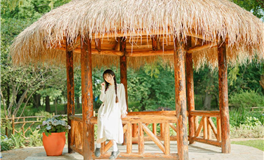 爱莎公主12星座一周塔罗运势（4.14-4.20）