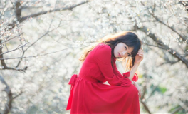 随着太阳进入金牛座：拥抱内心富饶与稳定的能量