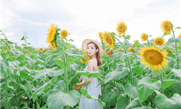 苏民峰:属羊人2025年4月运势/农历三月/庚辰月(4.4-5.4)