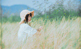 猫咪占星：白羊座2025年5月运势解析