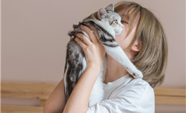 猫咪占星：水瓶座2025年4月运势解析