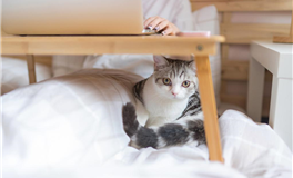 董易姗每日生肖运势2025年4月12日