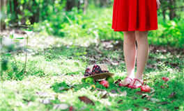 Ezoey徐佩玲天秤座2025年6月运势