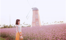 不鸣则已，一鸣惊人，实力强悍的星座