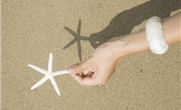 柒爸白羊座2025年6月运势