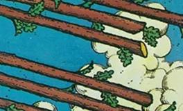 爱莎公主天蝎座一周塔罗运势（5.26-6.1）