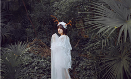 董易林每日生肖运势2025年5月27日