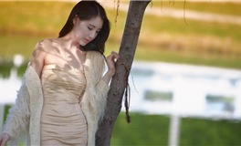 金星换座：12星座近期运势大揭秘！