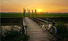 稳健理财：揭秘最适合保本型投资的星座