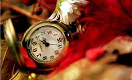 星座女神双鱼座2025年7月运势