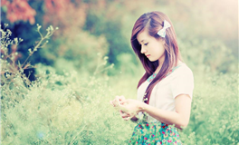 郑博士2025年8月12属相整体运势提前报