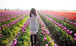 企业成功之路：一个响亮名字的重要性