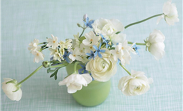 占星妖妖十二星座每日运势（2025-7-23）