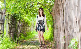 在职场中十二生肖应该如何去规避风险？