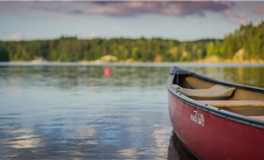 艾菲尔十二生肖2025年7月运势