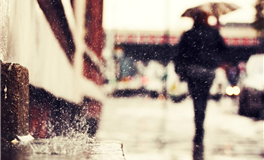 把握心动瞬间：十二生肖的行动指南