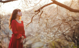 熊神进十二生肖2025年8月21日吉时吉事提点