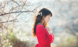 吃软不吃硬的星座，千万别激他们