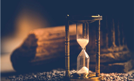 海百合金牛座本周运势（8.4-8.10）