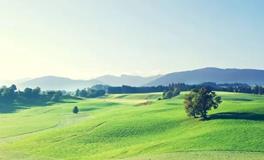 六面镜子，助您洞察人生：不可或缺的自我反省工具