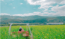 下周精彩预告：好运连连