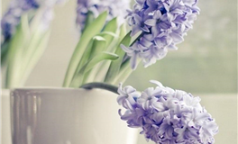 志向高远，能屈能伸的星座