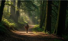 声音评估：揭秘你的情绪压力水平