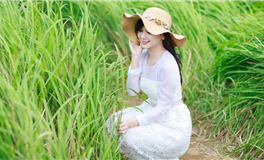 张鑫龙每日通盛+生肖运势 2025年8月26日