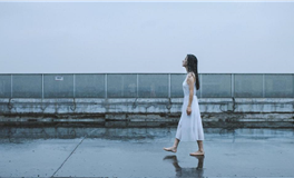 苏米君十二星座每日运势播报（2025年9月17日）