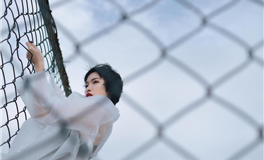 易鑫十二生肖乙巳年八月运势（9.7-10.7）